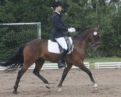 Das erfolgreichste Mecklenburger Dressurpony Figaro v. Fiorelle mit Julia Ising.